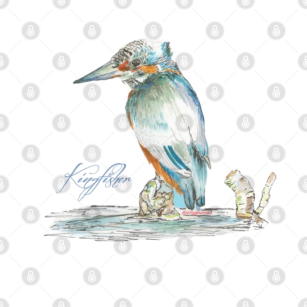 Kingfisher by jellygnomes