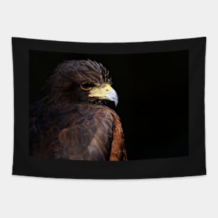 Hawk Tapestry