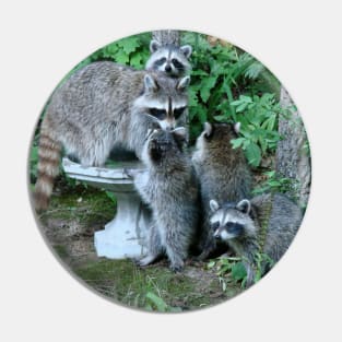 Raccoon Mom with 4 Kits Pin