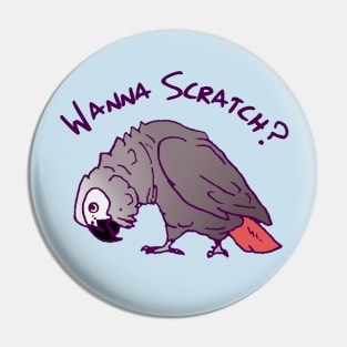 African Grey PArrot Wanna Scratch Pin