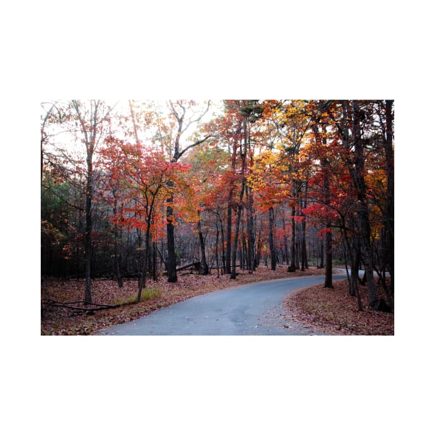 A Journey Through Fall by Cynthia48