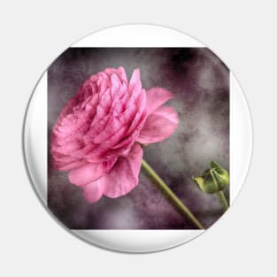 Pink Ranunculus Flower Pin