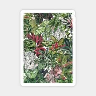 Urban Jungle Illustration 3 Magnet