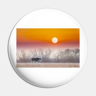 Clydesdale Horse at Sunset Pin