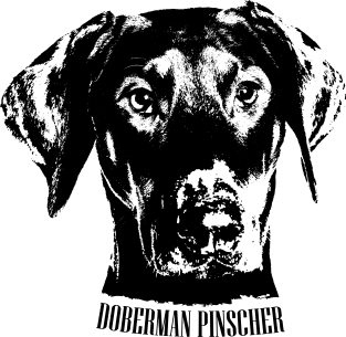 Doberman Pinscher - Dobermann Magnet