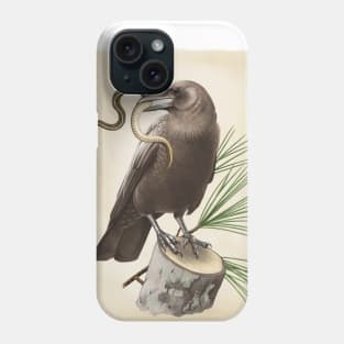 Leucistic Crow Phone Case