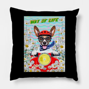 Way Of Life Pillow