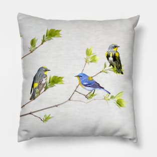 Spring Warbler Birds Pillow
