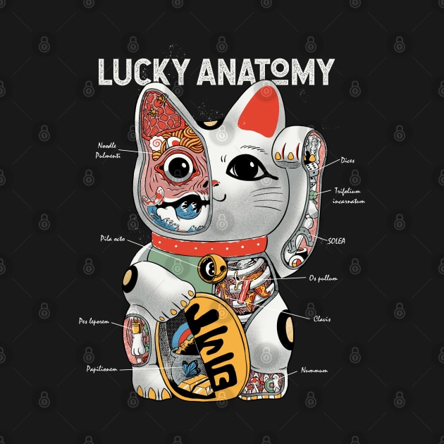 Lucky anatomy by ppmid