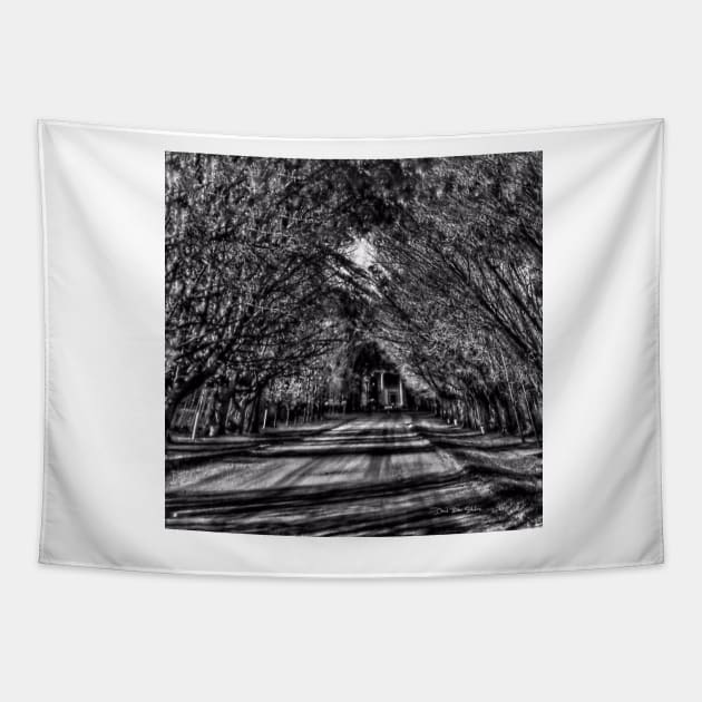 Dark Shines - Black And White Tapestry by davidbstudios