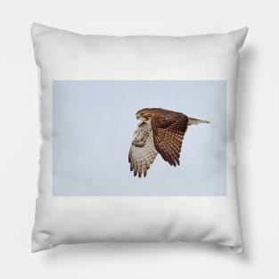 Red-tailed Hawk Pillow