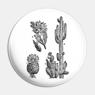 Cactus Pin