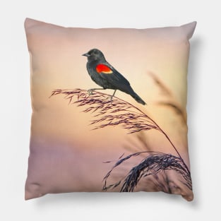 Red Winged Blackbird Sunset Pillow