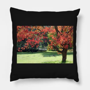 Blushing Tree Pillow