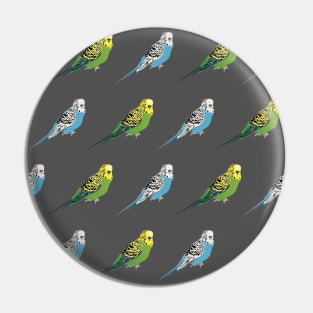 Budgies Pin