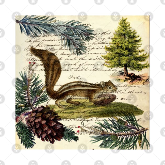 Cottagecore winter evergreen pine cone chipmunk nut house squirrel by Tina