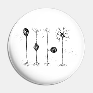 Four types of neurons Pin