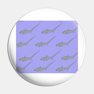 Amazing Big Eye Thresher Shark Pin