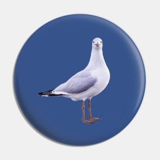 Pier Gaze: Seagull Looking Straight at You Pin