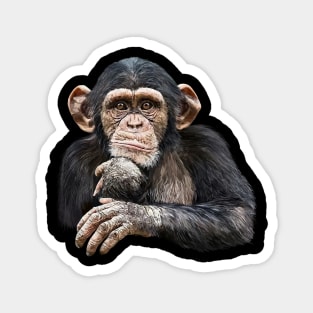 Chimpanzee Magnet