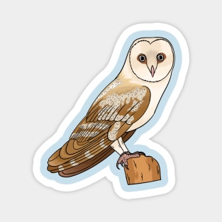 Barn owl bird cartoon illustration Magnet