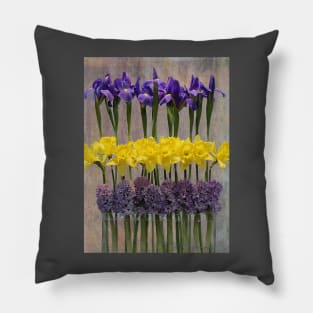 Spring Delights Pillow