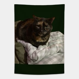 Sweet Tortie Tapestry