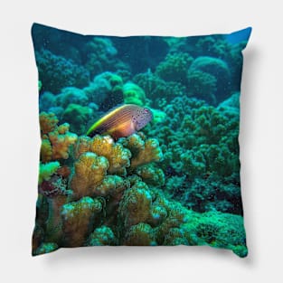 Freckled hawkfish Pillow