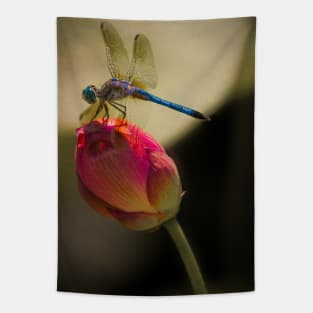 Lotus Bud and Dragonfly On the Lily Pond Tapestry