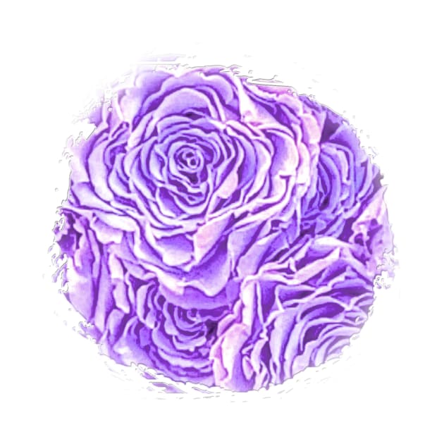 Light Purple Rose by Klssaginaw