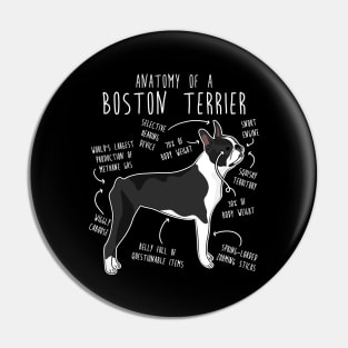 Boston Terrier Dog Anatomy Pin