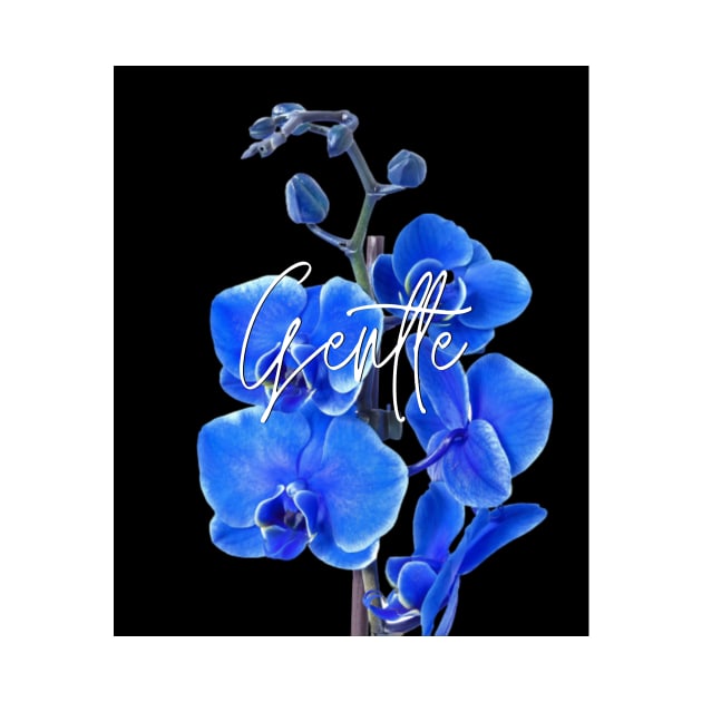 Gentle by NATURE SHOP