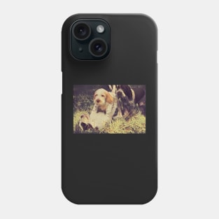 Italian Spinone Puppy Wrestling Phone Case