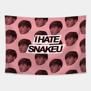 JHOPE "I HATE SNAKEU" Tapestry