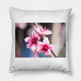 Blossoms Pillow