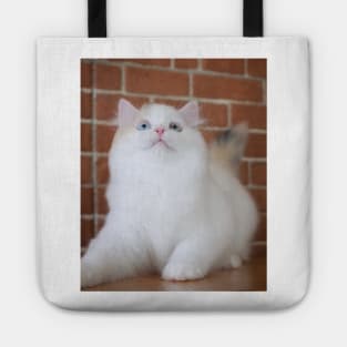 The little white cute cats Tote