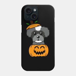 Funny Schnauzer is in a pumpkin Phone Case