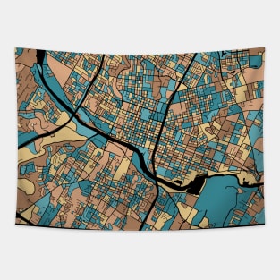 Austin Map Pattern in Mid Century Pastel Tapestry