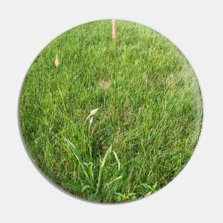 Grassland Plants Pin