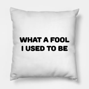 What a Fool Pillow