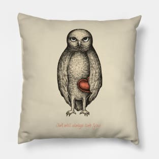 Owl will always love you! Pillow