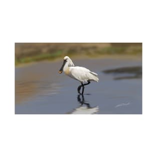 Eurasian spoonbill or common spoonbill (Platalea leucorodia) T-Shirt