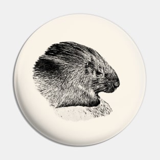 Crested porcupine Pin