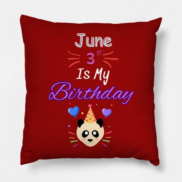 June 3 st is my birthday Pillow by Oasis Designs