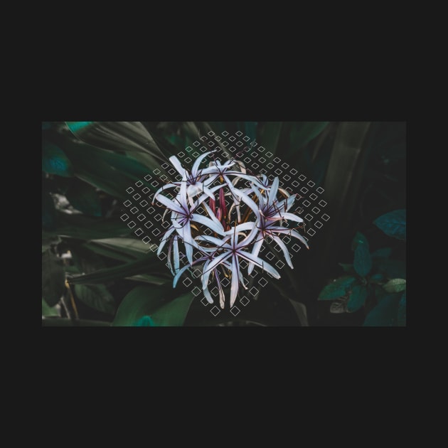 Giant White Spider Lily Geometric by Robtography