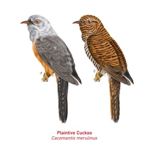 Plaintive Cuckoo | Cacomantis merulinus ⚥ T-Shirt