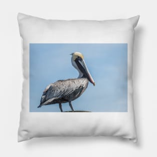 Awesome Pelican Pillow