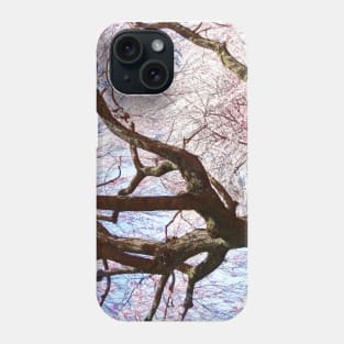 Spring - Cherry Tree Closeup Phone Case