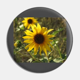 Sunflower, flowers, natural, nature, gifts Pin