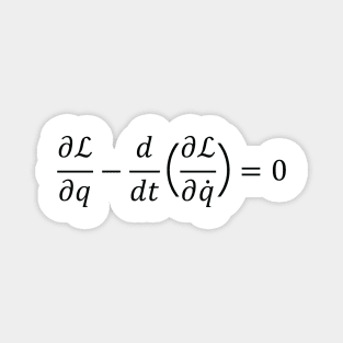 Euler Lagrange Equation Magnet